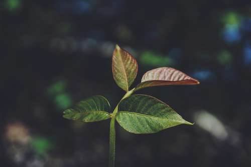 badder_manaouch_246249_unsplash